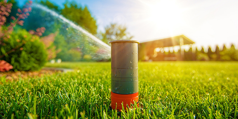 Lawn Sprinkler in Action